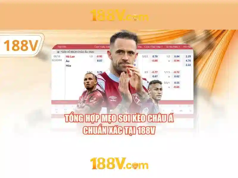 SEO-ontop-188v