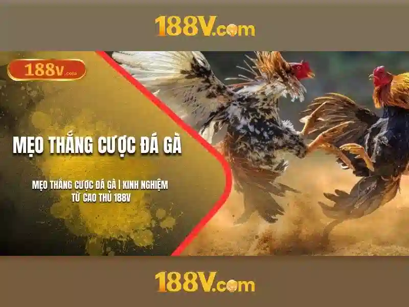 188v là gì? - Khám phá ý nghĩa và ứng dụng