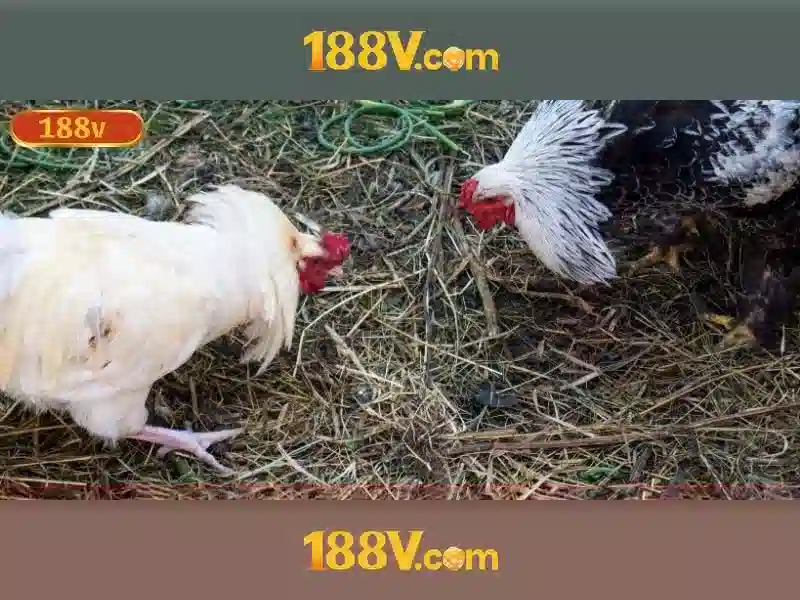 Khám phá 188v: khái niệm, nguyên lý và ứng dụng