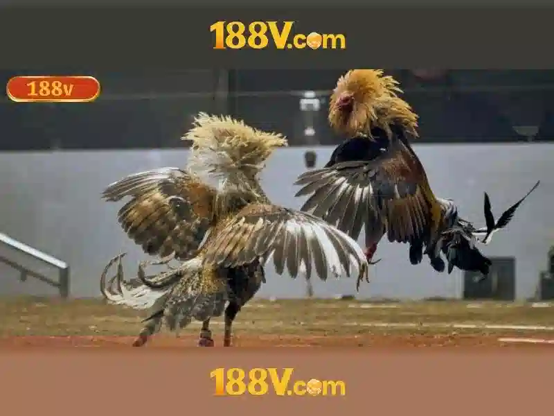 Kỹ thuật đo và kiểm tra