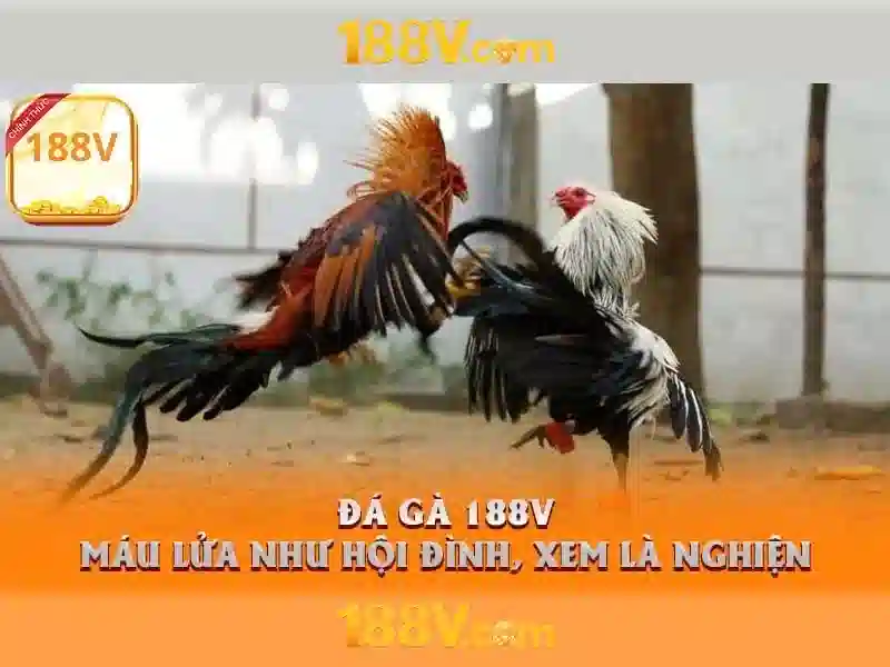 Khởi nguồn của 188V