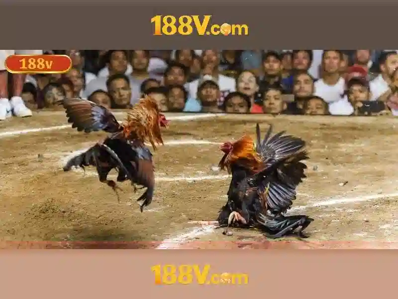 188V trong hệ thống điện: khái niệm và ứng dụng