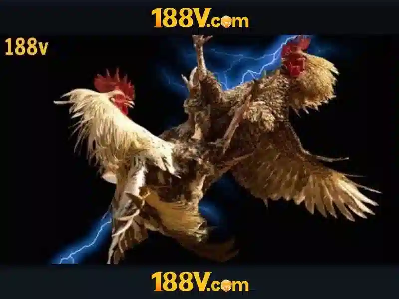 188v: Khái niệm về đồ thị và động lực dữ liệu