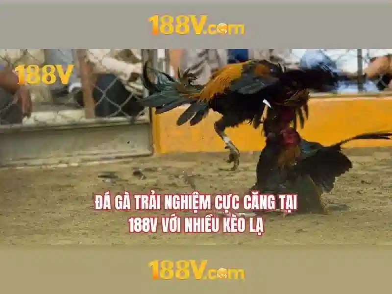188v rut tien – Trải nghiệm và đánh giá chi tiết tại 188v