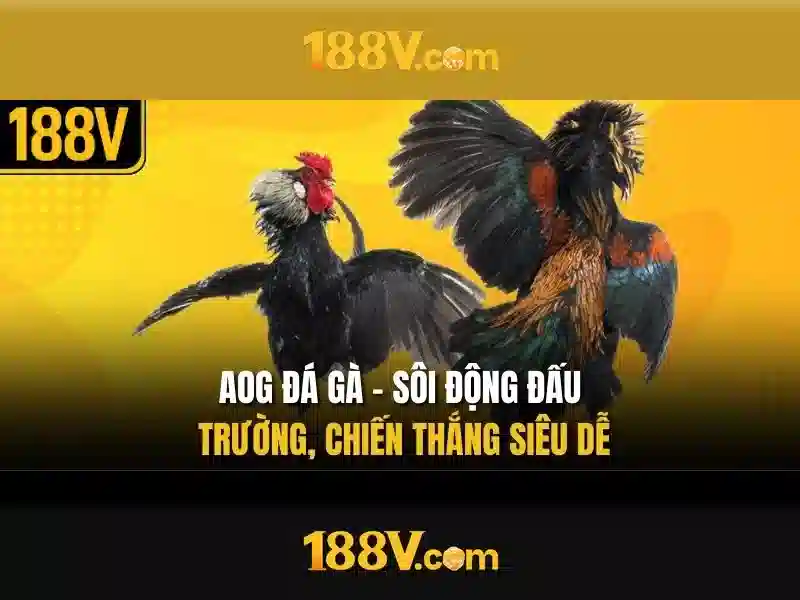 Nguồn gốc và khía cạnh vật lý