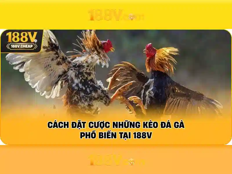 Nguồn gốc và ý nghĩa