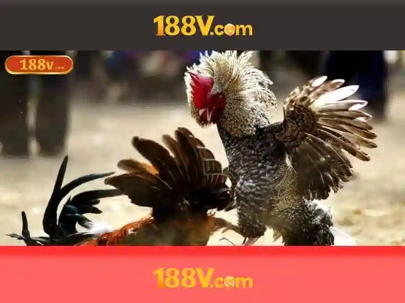 Ứng dụng và tiềm năng