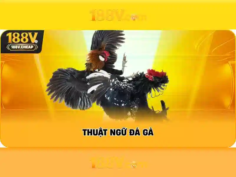 Khám phá 188v
