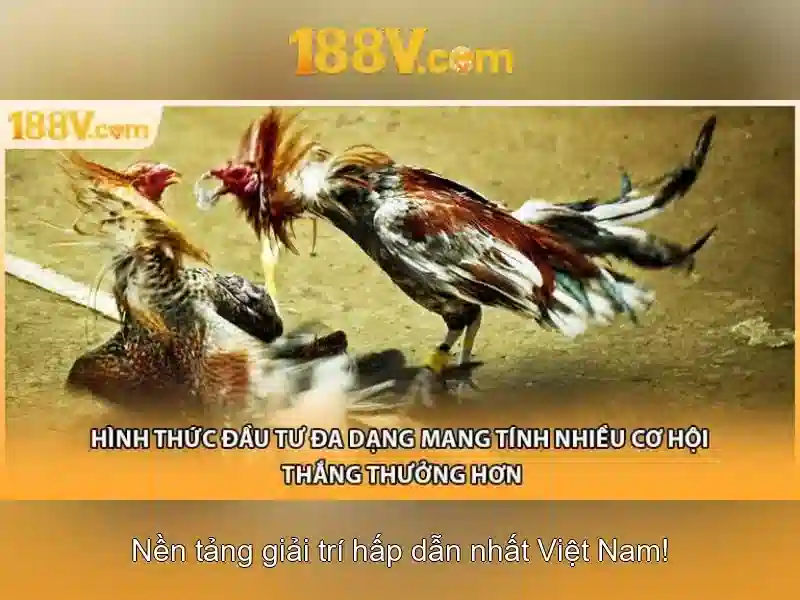 Nguồn gốc và cách đo