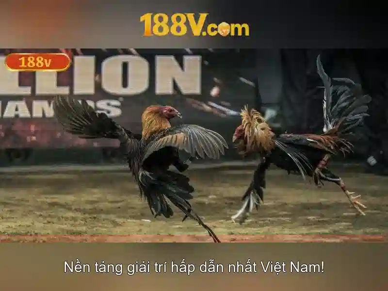 188V là gì và những điều cần biết