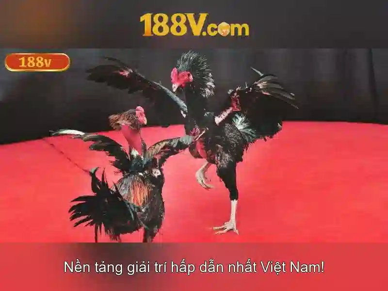 Đo lường và công cụ kiểm tra 188V