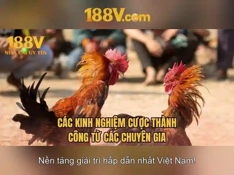 Khái niệm 188v