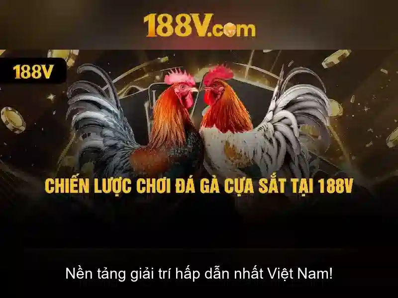 188v: hành trình khám phá công nghệ và văn hóa