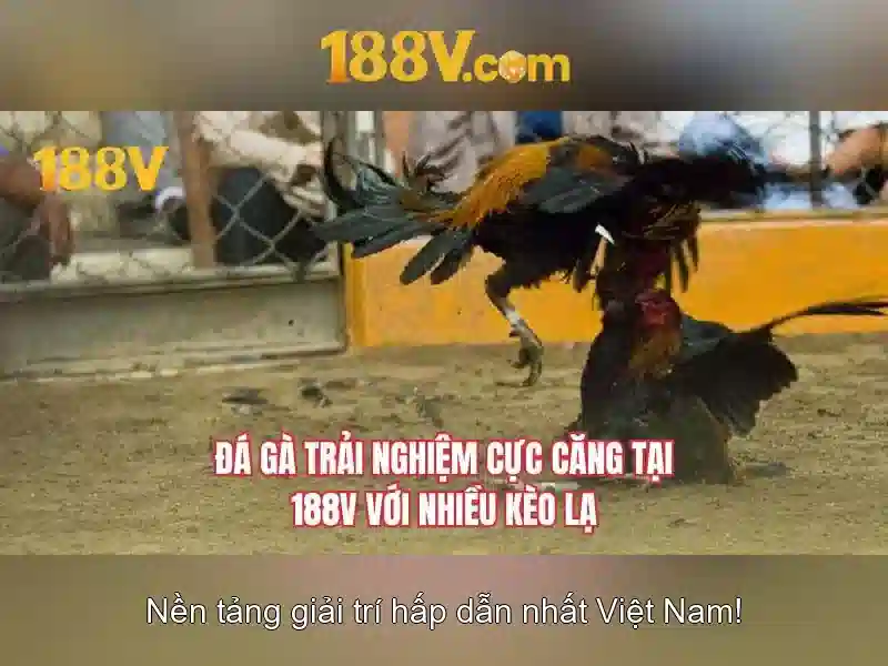 188v: một khung nhìn mới cho công nghệ và sáng tạo