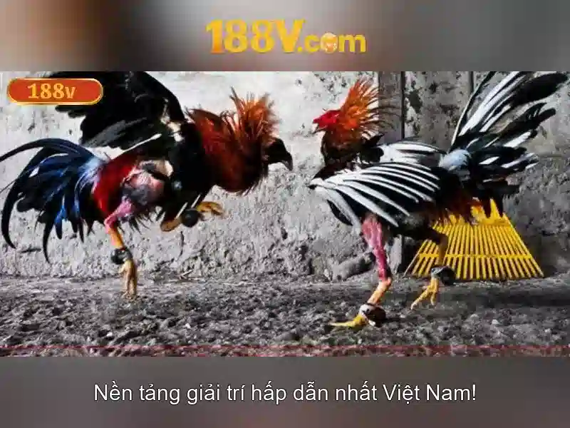 Khám phá 188v: Điện áp và ứng dụng