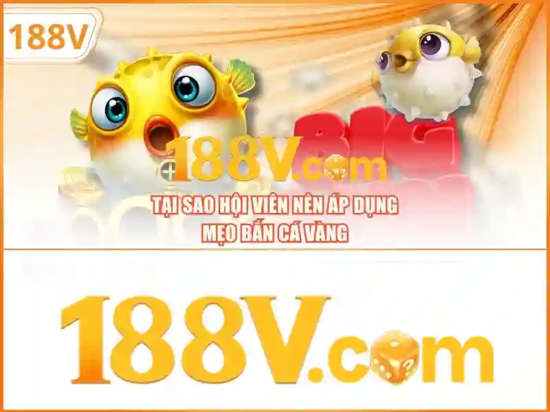 188v: một khái niệm mở trong thời đại số